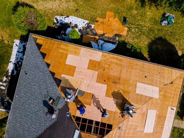 Best Residential Roofing Contractor  in Petoskey, MI