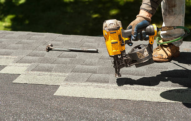 Best Roof Gutter Cleaning  in Petoskey, MI
