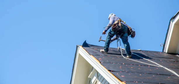 Professional Roofing Contractor in Petoskey, MI